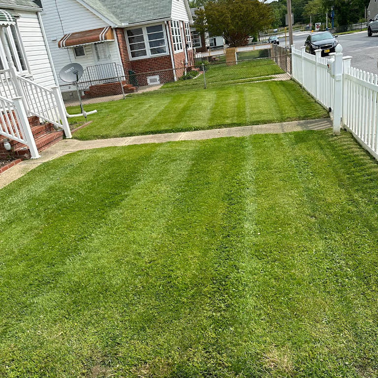 Completed lawn project 1