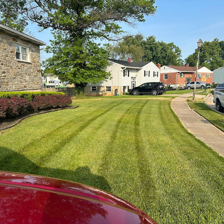 Completed lawn project 2