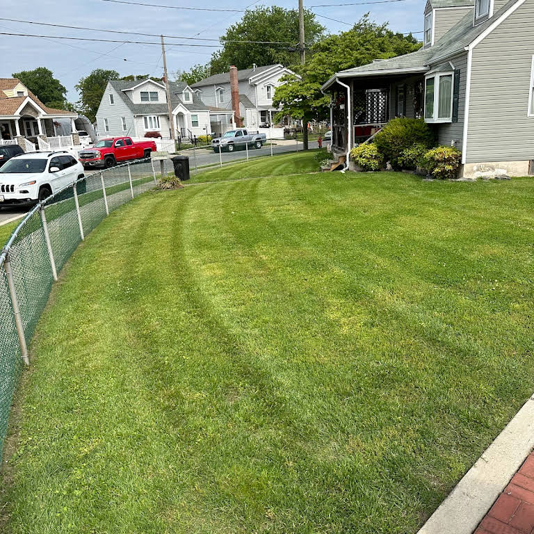 Completed lawn project 4
