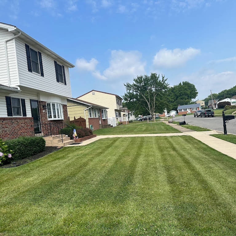 Completed lawn project 5