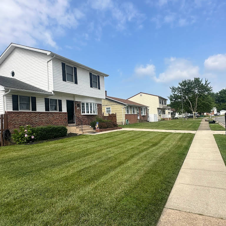 Completed lawn project 6